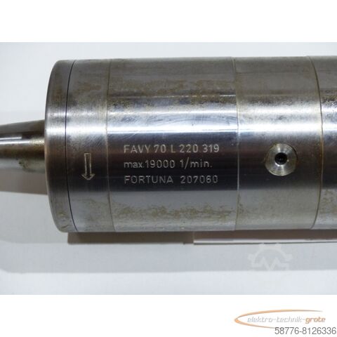 Component  Fortuna FAVY 70 L 220.319 Schleifspindel SN:207060  !
