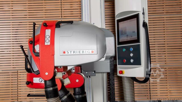 Plattensäge stehend Striebig Evolution 6224