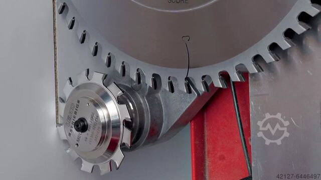 Plattensäge stehend Striebig Evolution 6224