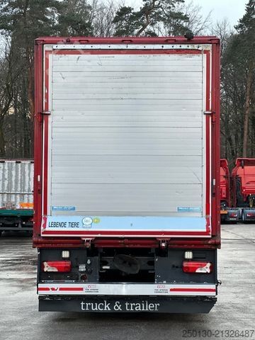 Cattle truck SCANIA G380 BL 4x2 1.Stock Menke-Janzen Viehw. *UNFALL*
