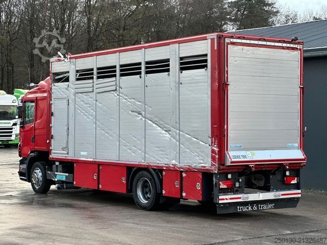 Cattle truck SCANIA G380 BL 4x2 1.Stock Menke-Janzen Viehw. *UNFALL*