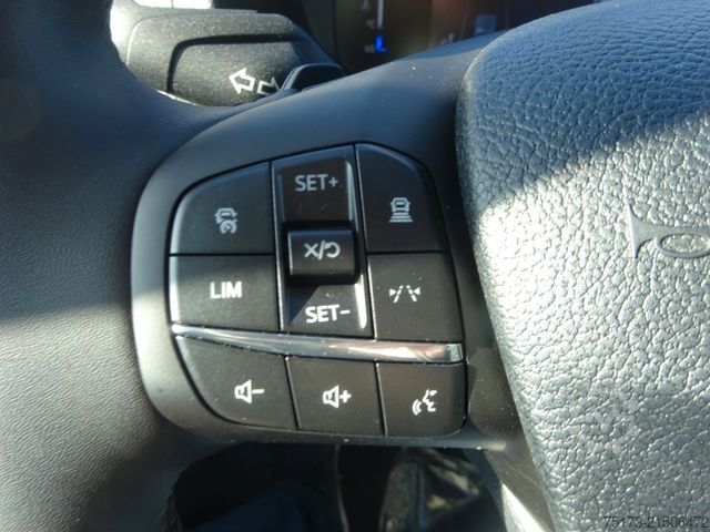 Kleinbus FORD Transit Kombi 350 L3H2 Trend 360Kam Navi 9Sitz