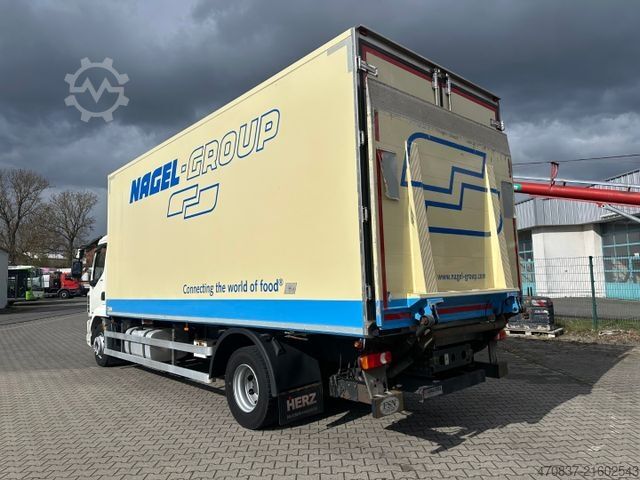 Kühlkoffer-LKW DAF LF 260 / Thermo King 1000 R Spectrum / LBW