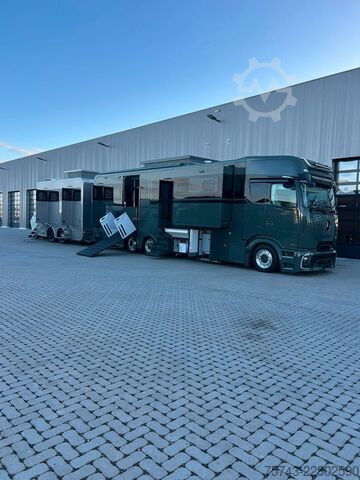 Cattle truck MERCEDES-BENZ 2651 STX PRO-CAB. DOP. POP-OUT+POP-UP  EXKLUSIVE