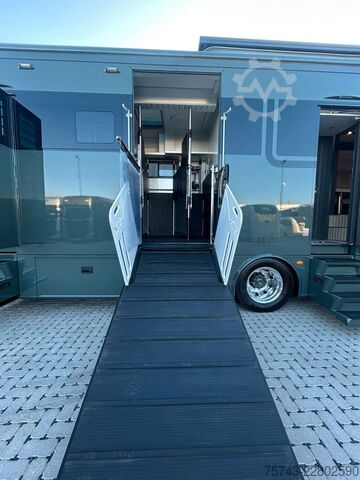 Cattle truck MERCEDES-BENZ 2651 STX PRO-CAB. DOP. POP-OUT+POP-UP  EXKLUSIVE