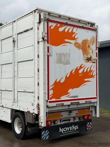 Horse transport trailer PEZZIOLI RBA 31 3.Stock + Aggregat/Hubdach/Rampe