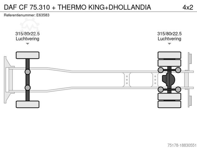 Kühl-/Tiefkühltransport DAF CF 75.310 + THERMO KING+DHOLLANDIA