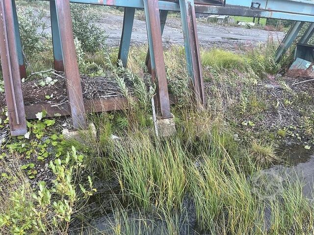 Sortierlinien für Stämme Ingvar Persson 2X10 + 1