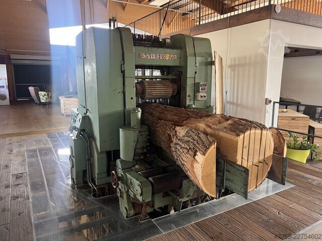 High-performance sawmill (frame saw) EWD HDN600 - LSH - GDZGE 600
