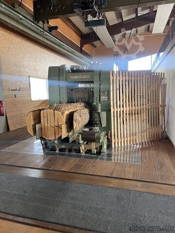 High-performance sawmill (frame saw) EWD HDN600 - LSH - GDZGE 600