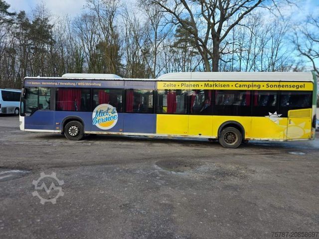 Überlandbus MERCEDES-BENZ Citaro O530 LE, Gurtem Armlehnen, Gardinen
