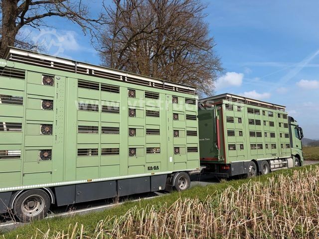 Cattle truck MERCEDES-BENZ Actros 2545 L 6x2 4.Stock Ka-Ba Komplettzug