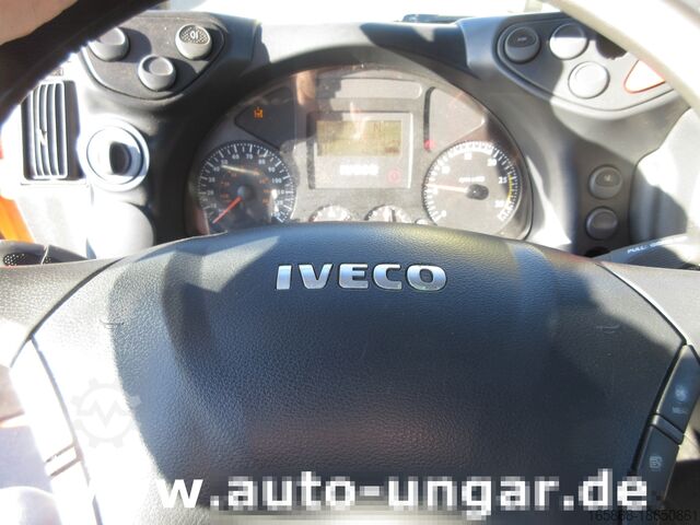 Kipper LKW Iveco Trakker 360 Kipper 4x4 Kran Palfinger