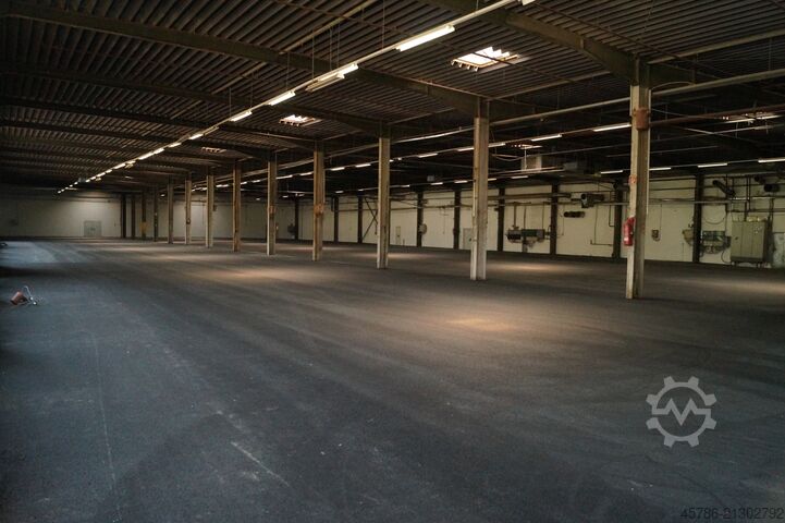 Hall / Storage area / Production hall  