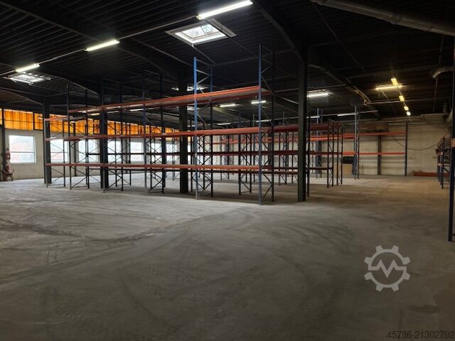 Hall / Storage area / Production hall  
