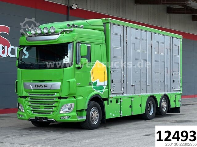 Cattle truck DAF XF 480 LL 6x2 3.Stock Menke Viehwagen m. Hubdach