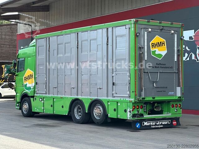 Cattle truck DAF XF 480 LL 6x2 3.Stock Menke Viehwagen m. Hubdach