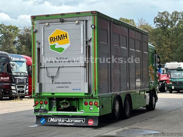 Cattle truck DAF XF 480 LL 6x2 3.Stock Menke Viehwagen m. Hubdach