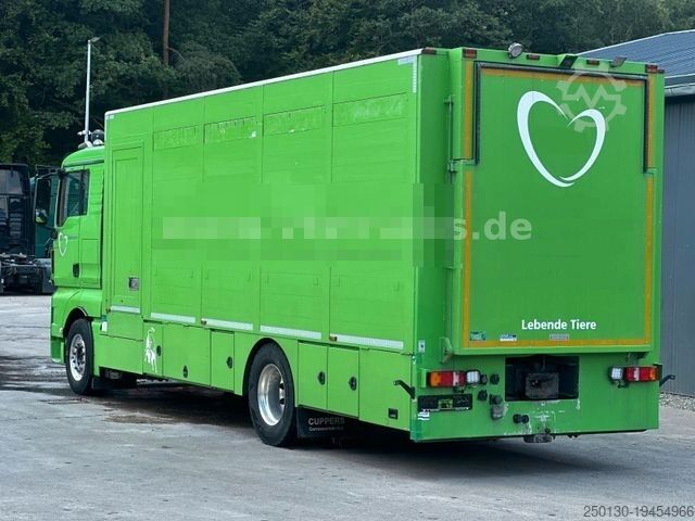 Cattle truck MAN TGX 18.420 4x2 1.Stock Cuppers Viehtransporter