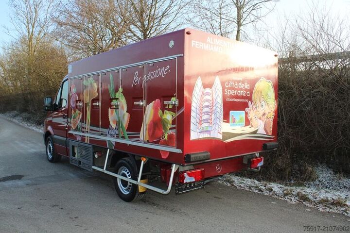 Kühltransporter MERCEDES-BENZ Sprinter 310  Euro 5 Cold Car -33°C ATP 06/28