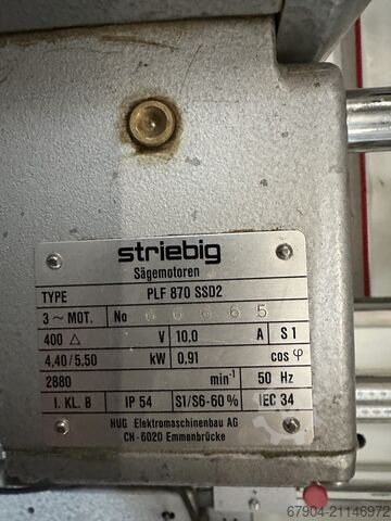 Plattensäge stehend Striebig Standard ll TRK 6220