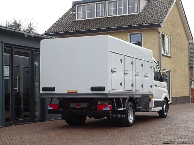 Kühlkoffer MAN TGE Cold Car / Freezer I Carplay I 7500 KM! + COC