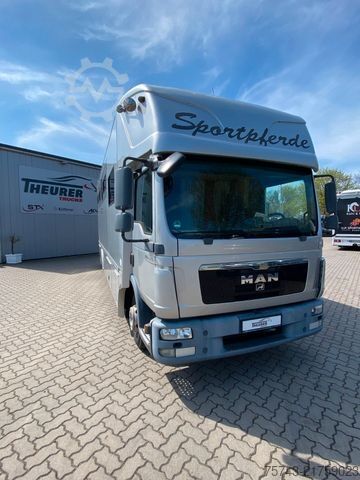 Viehtransporter MAN 8220 TGL    3-4 Pferde