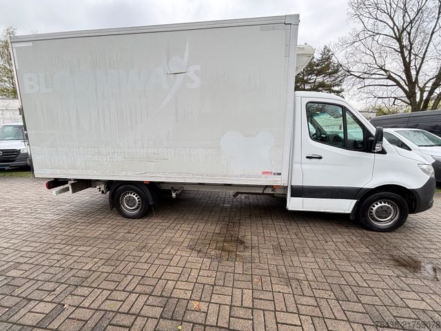 Refrigerator body van MERCEDES-BENZ Sprinter 316 CDI MAXI|0°C|230V|ThermoKingV300max