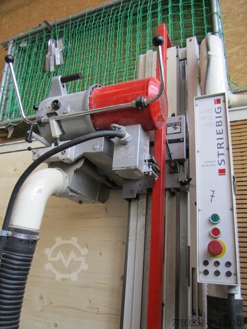 Panel saw Striebig STANDARTIIITRK Typ 6220A