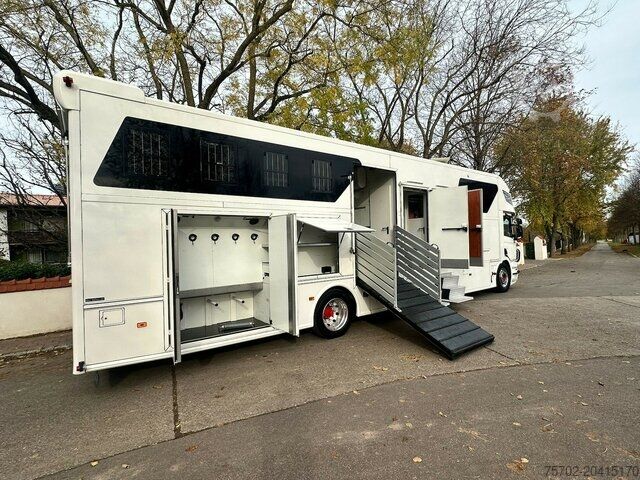 Viehtransporter LKW Scania P310 6 Pferde Popout Wohnmobilzulassung