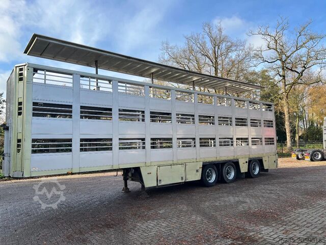 Cattle transport Berdex 1/2/3 livestock veewagen