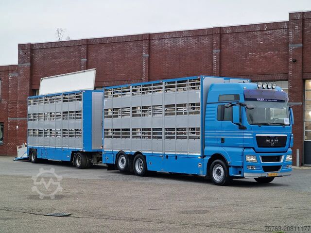 Viehtransport MAN TGX 26.440 6x2*4 - 3 deck Livestock - Water & V...