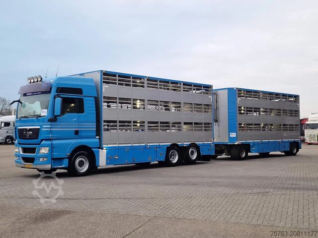 Viehtransport MAN TGX 26.440 6x2*4 - 3 deck Livestock - Water & V...
