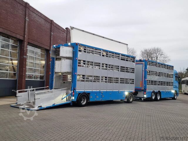 Viehtransport MAN TGX 26.440 6x2*4 - 3 deck Livestock - Water & V...