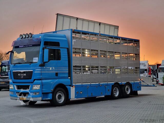 Viehtransport MAN TGX 26.440 6x2*4 - 3 deck Livestock - Water & V...