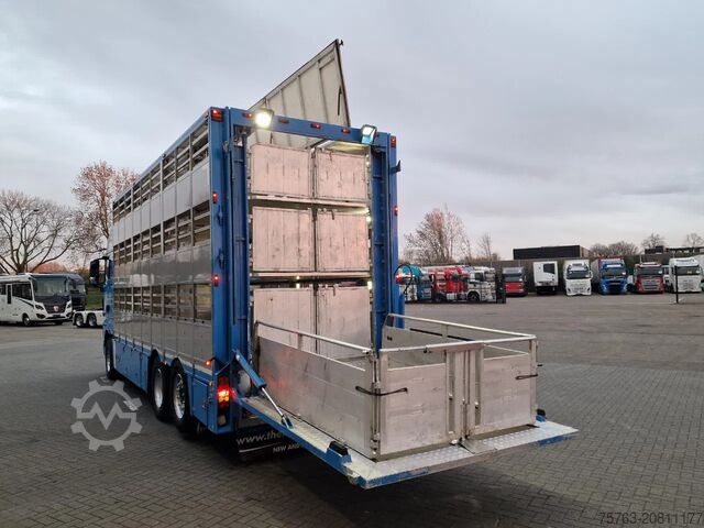 Viehtransport MAN TGX 26.440 6x2*4 - 3 deck Livestock - Water & V...