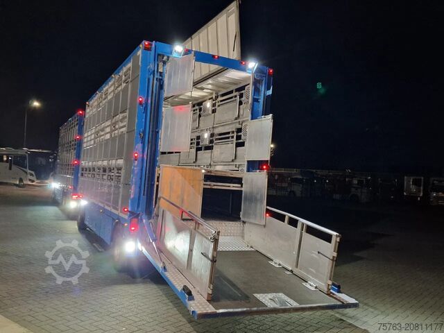 Viehtransport MAN TGX 26.440 6x2*4 - 3 deck Livestock - Water & V...