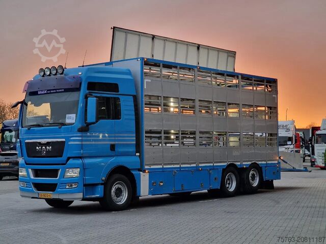 Viehtransport MAN TGX 26.440 6x2*4 - 3 deck Livestock - Water & V...