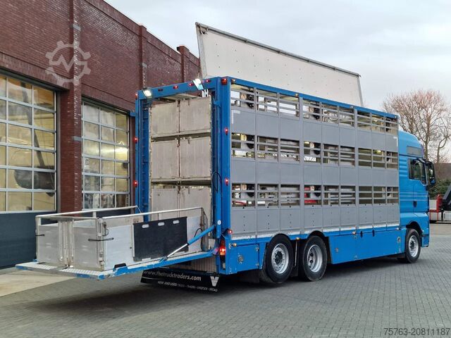 Viehtransport MAN TGX 26.440 6x2*4 - 3 deck Livestock - Water & V...