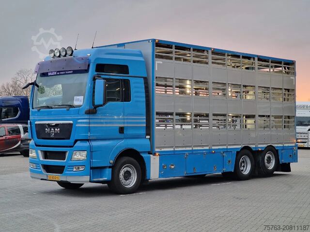 Viehtransport MAN TGX 26.440 6x2*4 - 3 deck Livestock - Water & V...