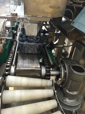 Packing machine PAKFRUT S.R.L Blueberry Packing Machine 