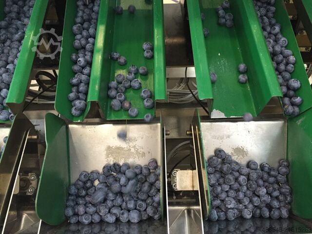 Packing machine PAKFRUT S.R.L Blueberry Packing Machine 