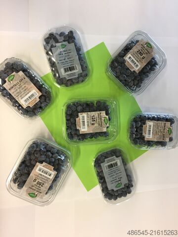 Packing machine PAKFRUT S.R.L Blueberry Packing Machine 