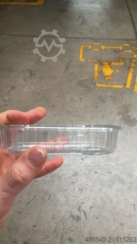 Packing machine PAKFRUT S.R.L Blueberry Packing Machine 