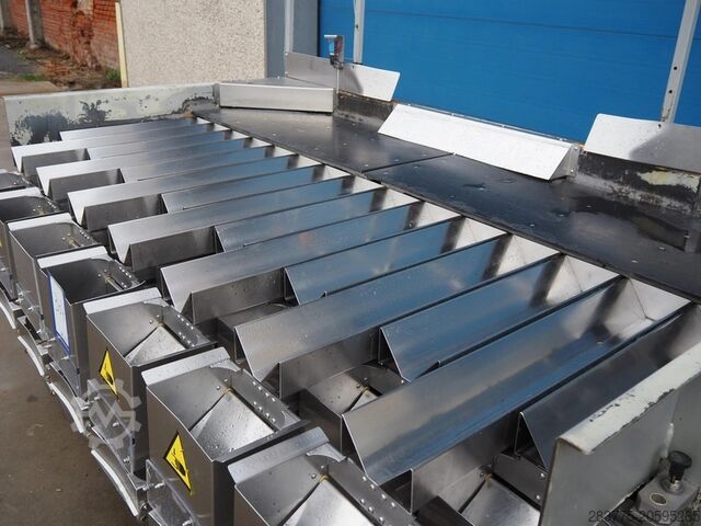 Citrus Orange Packing Line Giro Upmann Giro GB60 Upmann 2515