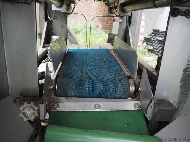 Citrus Orange Packing Line Giro Upmann Giro GB60 Upmann 2515