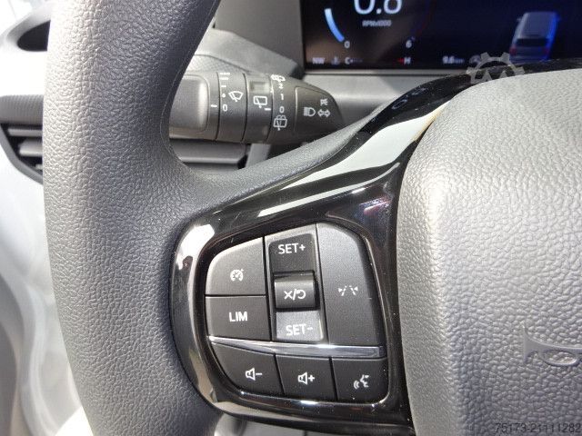 Kleinbus FORD Transit Custom 320L1 Trend Kombi 9Sitz Kam GRA