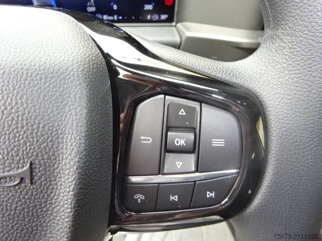 Kleinbus FORD Transit Custom 320L1 Trend Kombi 9Sitz Kam GRA