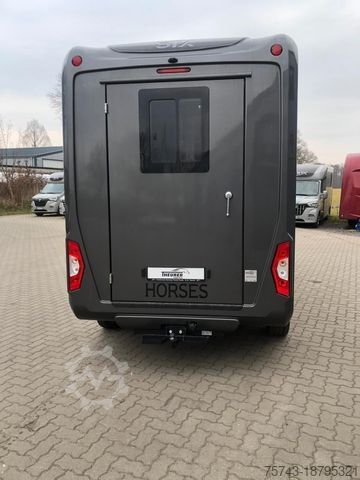 Viehtransporter FORD Transit STX Haras NEW MODELL. AUTOMATIK