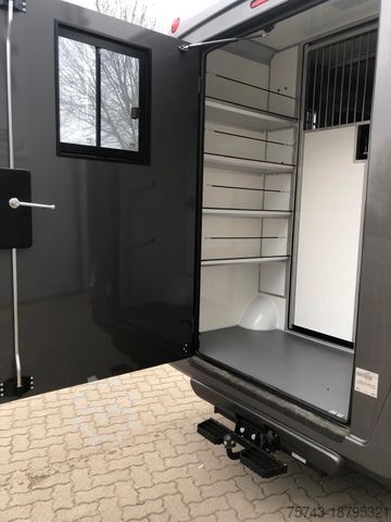 Viehtransporter FORD Transit STX Haras NEW MODELL. AUTOMATIK